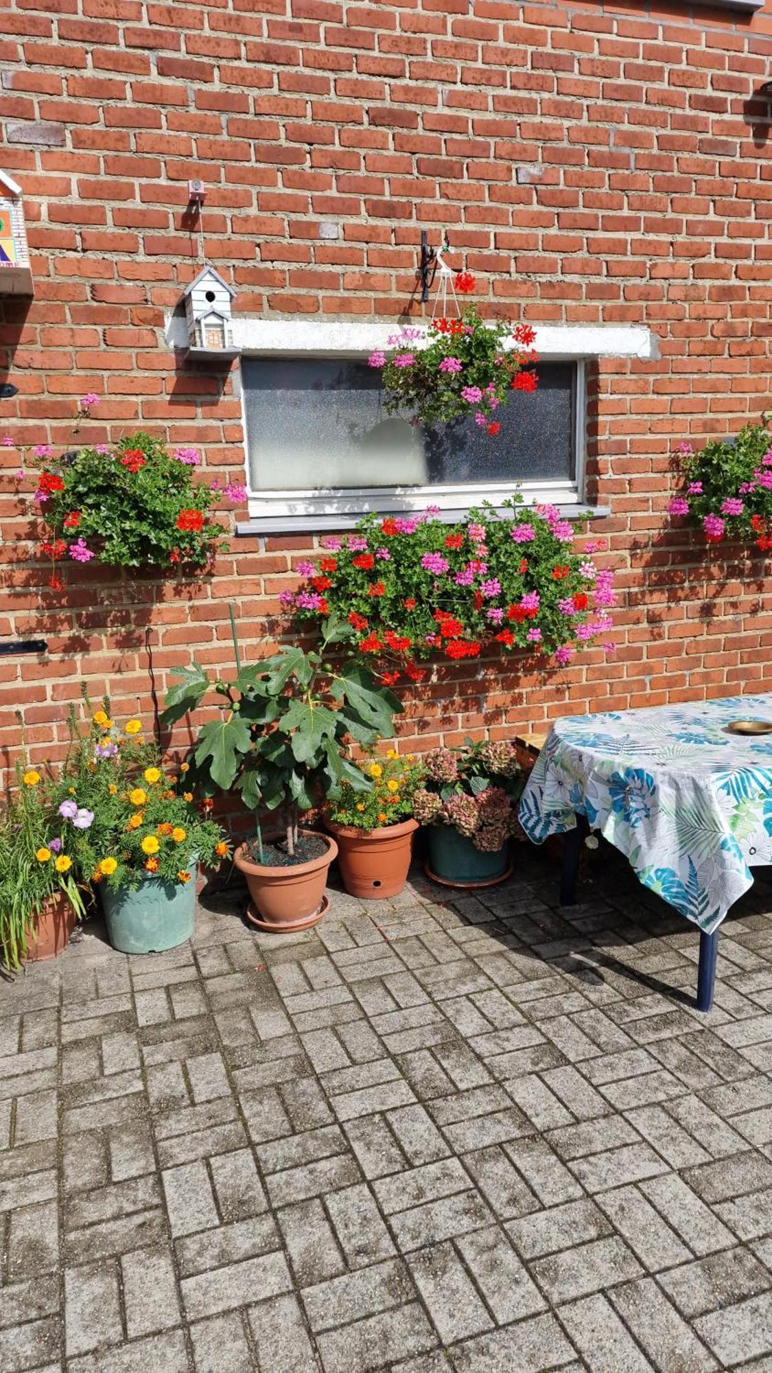 Appartement Mignon à Soumagne Extérieur photo